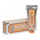 Зубная паста Marvis Ginger mint, Имбирь и мята, 25 мл