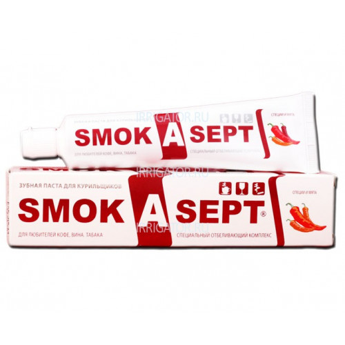 SmokAsept зубная паста специи и мята 60 мл