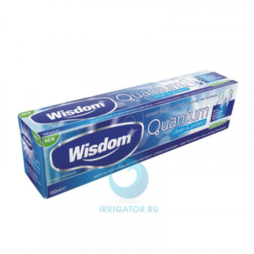 Зубная паста Wisdom Quantum Clean and Protect, 100 мл