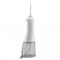 Ирригатор Revyline RL 200 XL